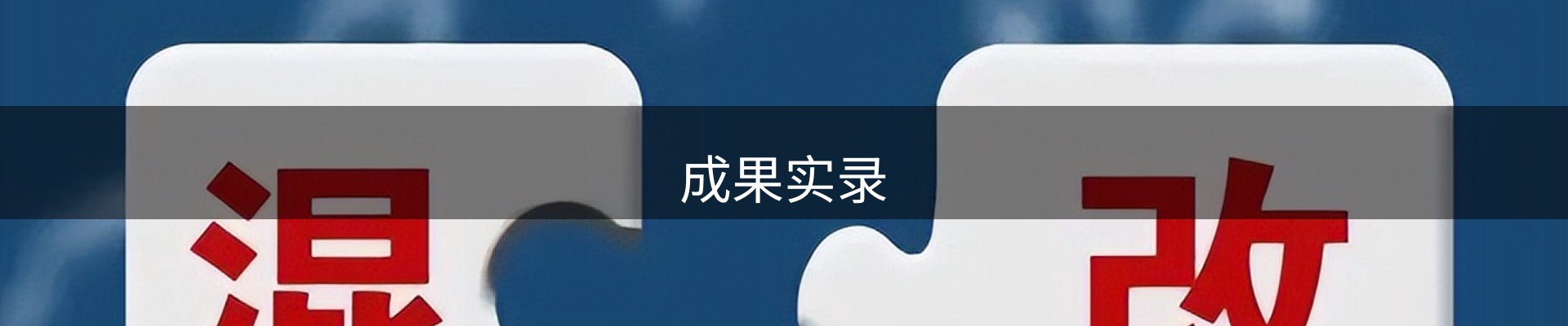 成果实录